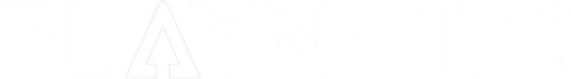 Playnetic logo